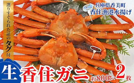 香住ガニ（生）大 タグ付き 約800g×2枚 冷蔵 【令和8年11月以降発送予定】 かに カニ 香美町 03-07