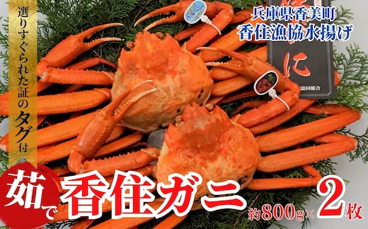 香住ガニ（ボイル）大 タグ付き 約800g×2枚 冷蔵 【令和8年11月以降発送予定】 香美町 03-08