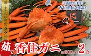 香住ガニ（ボイル）大 タグ付き 約800g×2枚 冷蔵 【令和8年11月以降発送予定】 香美町 03-08