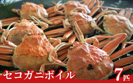 【訳あり セコガニボイル（冷凍）7匹】 セコガニ 松葉がに ボイル 但馬漁業協同組合 04-06