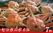 【先行予約】訳あり セコガニ ボイル（冷凍）7匹 【令和8年11月中旬以降発送予定】かに 香美町 04-06