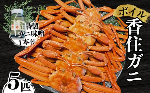【本場香住漁港であがった！香住ガニセット 5匹入り 三七十特製カニ味噌1本付き】 三七十 05-10