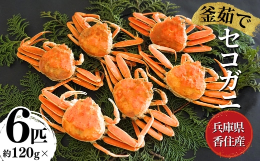 【セコガニ 約120g×6匹 釜茹で 冷凍】ご入金確認後、順次発送予定 日本海フーズ 07-08