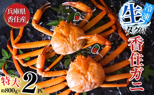 香住ガニ 活〆タグ付き香住ガニ 特大 約800g×2匹（合計約1.6kg以上）【先行予約】令和8年2月中旬以降順次発送予定 生冷凍 07-113