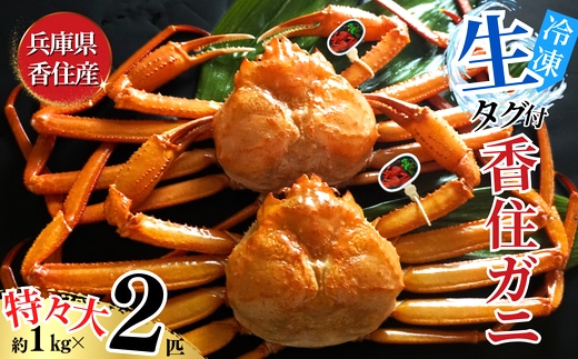 香住ガニ 活〆タグ付き香住ガニ 特々大 約1.0kg×2匹（合計約2.0kg以上）【先行予約】令和8年2月中旬以降順次発送予定 生冷凍 07-114