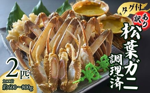 訳あり 松葉ガニ タグ付き 調理済（調理前600～800g）2匹入 兵庫県 香住産 数量限定 【冷凍】 07-38
