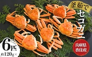 【セコガニ 約120g×6匹 釜茹で 冷凍】ご入金確認後、順次発送予定 日本海フーズ 07-08