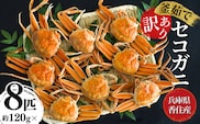 【セコガニ 訳あり（欠足 キズ 汚れなど）約120g×8匹 冷凍】ご入金確認後、順次発送予定 日本海フーズ 07-09