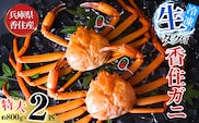 香住ガニ 活〆タグ付き香住ガニ 特大 約800g×2匹（合計約1.6kg以上）【先行予約】令和8年2月中旬以降順次発送予定　生冷凍 07-113
