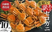 【先行予約】【セコガニ 訳あり（欠足 キズ 汚れなど）約120g×10匹 冷凍】令和7年11月中旬以降、順次発送予定  日本海フーズ 07-117