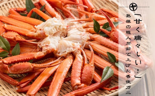 【訳あり 茹切 香住ガニ7～9肩（約1.0kg）冷蔵】紅ズワイガニ かに カニ 蟹 マルヤ水産 11-17