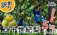 2026年産 先行予約【梨 訳あり 20世紀梨 5kg（10～18玉）サイズバラつき有り（L～5L）生産者応援商品】9月上旬以降配送予定 JAたじま 12-23