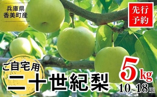 2026年産 先行予約【20世紀梨 ご自宅用 5kg サイズ L～5L混合（10～18玉）ご自宅用】8月下旬～9月中旬までにお届け JAたじま 12-20