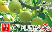 2026年産 先行予約【梨 20世紀梨 香住梨 5kg 大きめ（1玉350g～500gを10～14玉）】8月下旬～9月中旬までにお届け  JAたじま 12-05