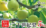 2026年産 先行予約【梨 20世紀梨 香住梨 5kg 小さめ（1玉250g～300gを16～20玉）】8月下旬～9月中旬までにお届け JAたじま 12-09