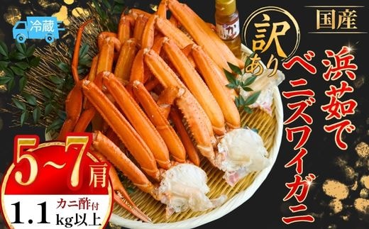 訳あり 浜茹で 国産ベニズワイガニ 肩 1.1kg以上（5～7肩） 冷蔵 かに カニ 香美町 19-16