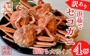 【訳あり 浜茹で セコガニ】 大サイズ4匹入り 冷蔵  香美町 香住 日本海 国産 カニ ズワイガニ 松葉ガニ せいこがに メスガニ 鮮度抜群 丸近 19-10