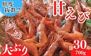《12/21まで年内発送》【鮮度抜群！天然大ぶり 甘えび 700g（約30尾）】冷凍 丸近 19-11