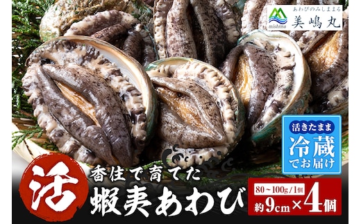 【冷蔵 活あわび 養殖 9cm×4枚 320～400g (1個80～100g）】美嶋丸 20-02