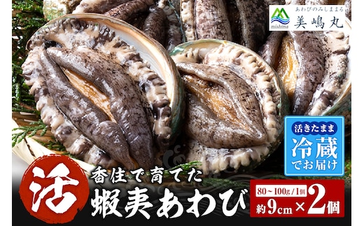 【冷蔵 活あわび 養殖 9cm×2枚 160〜200g (1個80〜100g）】美嶋丸 20-11