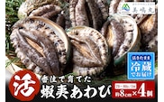 【冷蔵 活あわび 養殖  8cm×4枚 280～320g (1個70～80g）】美嶋丸 20-01