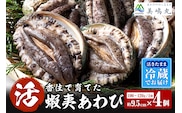 【冷蔵 活あわび 養殖 9.5cm×4枚 400g～480g (1個100～120g）】美嶋丸 20-03
