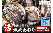 【冷蔵 活あわび 養殖 9cm×2枚 160〜200g (1個80〜100g）】美嶋丸 20-11