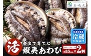 【冷蔵 活あわび 養殖 9.5cm×2枚 200～240g (1個100～120g）】美嶋丸 20-12