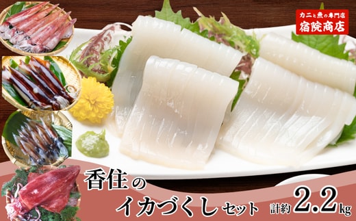 先行予約【香住のイカづくし 合計2.2kgセット】令和8年6月下旬以降順次発送予定 冷凍 宿院商店 33-08