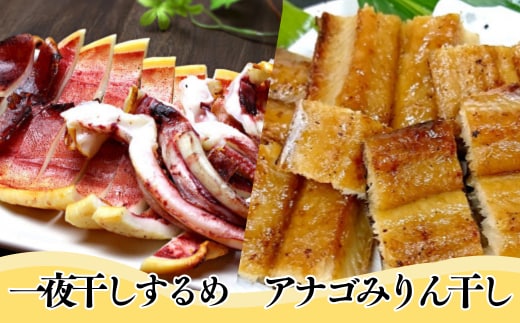【兵庫県香住産 アナゴみりん干し（450-500g）、一夜干しするめ（2～4枚）セット 冷凍】宿院商店 33-10