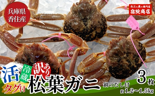 【先行予約】兵庫県香住産 訳あり 活 松葉がに 姿 3枚 約1.2～1.5kg 冷蔵【令和9年1月下旬以降発送予定】 香美町 33-26