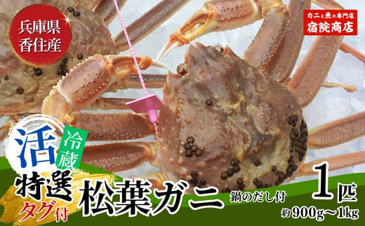 【先行予約】松葉ガニ【特選 活 松葉ガニ 生 1匹（約900g～1kg）冷蔵】11月中旬以降配送予定 宿院商店 33-27