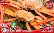 兵庫県香住産 釜茹で香住ガニ（紅ズワイガニ）2～3匹 冷蔵  宿院商店 33-21