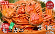 【先行予約】兵庫県香住産 釜茹でセコガニ 6～10匹 約1.2kg 冷蔵【令和8年11月下旬以降発送予定】冷蔵 香美町 33-23