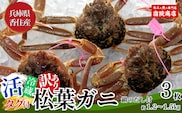 【先行予約】兵庫県香住産 訳あり 活 松葉がに 姿 3枚 約1.2～1.5kg 冷蔵【令和9年1月下旬以降発送予定】 香美町 33-26
