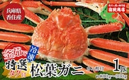 【先行予約】【兵庫県香住産 特選 釜茹で タグ付き 松葉がに 1匹（約800g～900g)】令和７年11月中旬以降発送予定 冷凍 宿院商店 33-29
