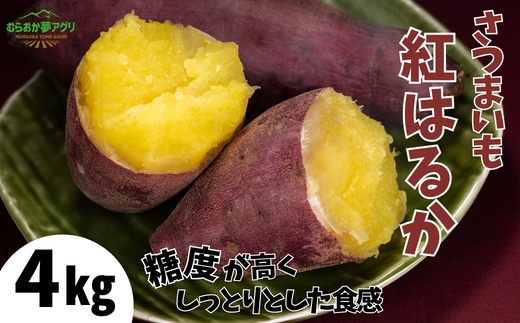 【先行予約】さつまいも 紅はるか 4kg 【令和8年11月以降発送予定】野菜 香美町 41-14