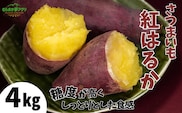 【先行予約】さつまいも 紅はるか 4kg 【令和8年11月以降発送予定】野菜 香美町 41-14