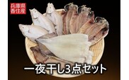 【一夜干し3点セット 産地直送】するめいか アジの開き エテガレイ  干物 日本海 兵庫県  香美町 香住  ハマダセイ 51-04
