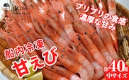 【甘えび（あかえび）船内冷凍 中サイズ40匹入り 700ｇ前後】 魚や HARATOKU 56-02