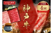 【神戸牛 定期便「エコノミークラス」（定期便全4回、総量3000g） 】冷凍 牛肉 和牛 但馬 神戸 香美町 村岡 和牛セレブ 58-23