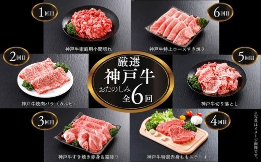 【定期便】定期便 平山牛舗の厳選神戸牛 月1回発送 全6回 冷凍 61-14