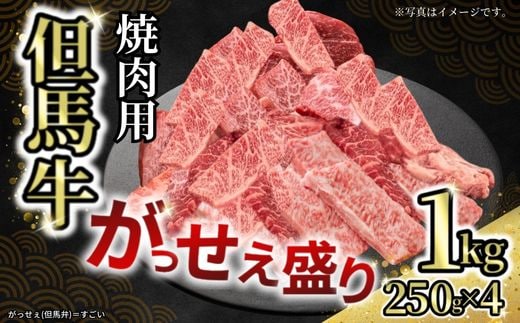 【但馬牛がっせぇ盛り 焼肉用計1kg（250g×4）冷凍】但馬 神戸 兵庫県 但馬牛 72-24