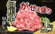 但馬牛がっせぇ盛り スライス切り落とし計1kg（250g×4） 冷凍 牛肉 香美町 72-23