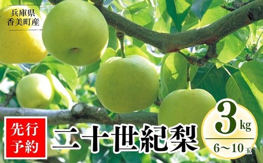 《2026年産 先行予約》 梨 二十世紀梨 香住梨 3kg 秀品（Aランク）L～5Lサイズ混合6～10玉【令和8年8月下旬以降発送予定】香美町 76-02