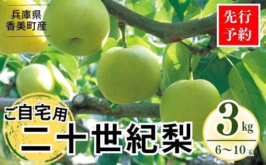 《2026年産 先行予約》 梨 二十世紀梨 香住梨 3kg ご自宅用 優品（Bランク）L～5Lサイズ混合6～10玉【令和8年8月下旬以降発送予定】香美町 76-03