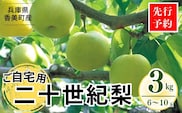 【先行予約】【梨 20世紀梨 香住梨 3kg ご自宅用 優品（Bランク）L～5Lサイズ混合6～10玉】二十世紀梨  兵庫県 香住 フルーツ ナシ 青梨 和梨  JAたじま 76-03