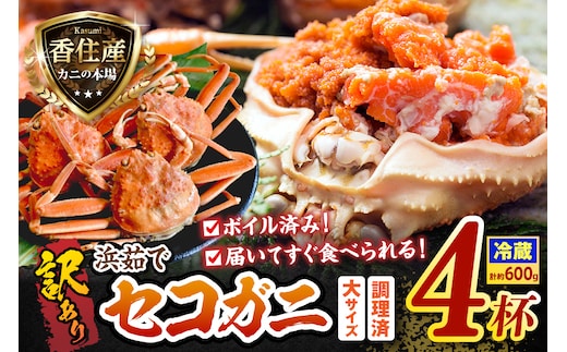 訳あり 浜茹で セコガニ 大サイズ 4杯入り 冷蔵 【令和8年11月中旬以降発送予定】 香美町 19-10