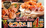 訳あり 浜茹で セコガニ 大サイズ 4杯入り 冷蔵 【令和8年11月中旬以降発送予定】 香美町 19-10