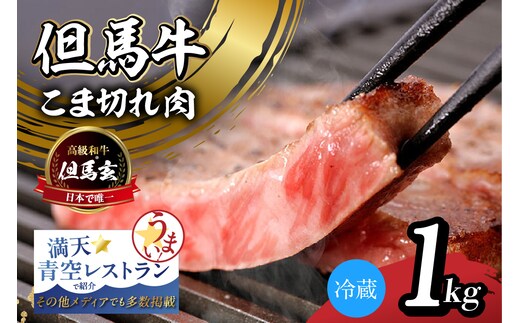 但馬牛 究極の但馬牛 “但馬玄®“ サーロインステーキ1kg 冷蔵 上田畜産 01-09